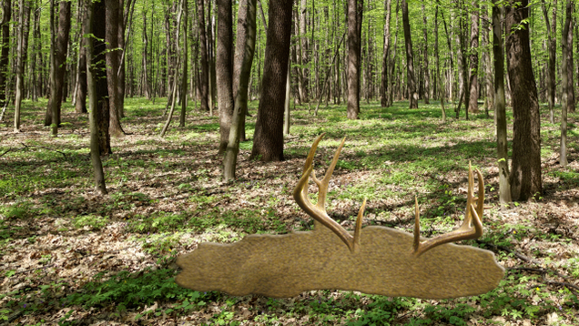 Illustration for article titled 6 Amazing Pictures Of Deer Melting That We Published Before Looking Up An Explanation